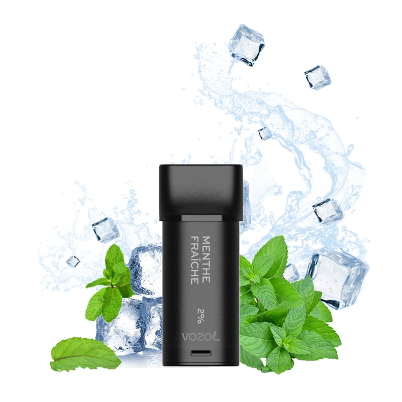 VOZOL Switch 600 puffs - Pack de 2 Cartouches 2ml capacity 12 FLAVORS