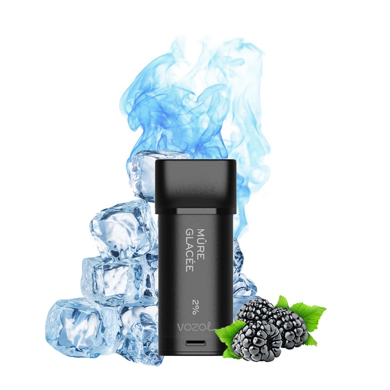 VOZOL Switch 600 puffs - Pack de 2 Cartouches 2ml capacity 12 FLAVORS